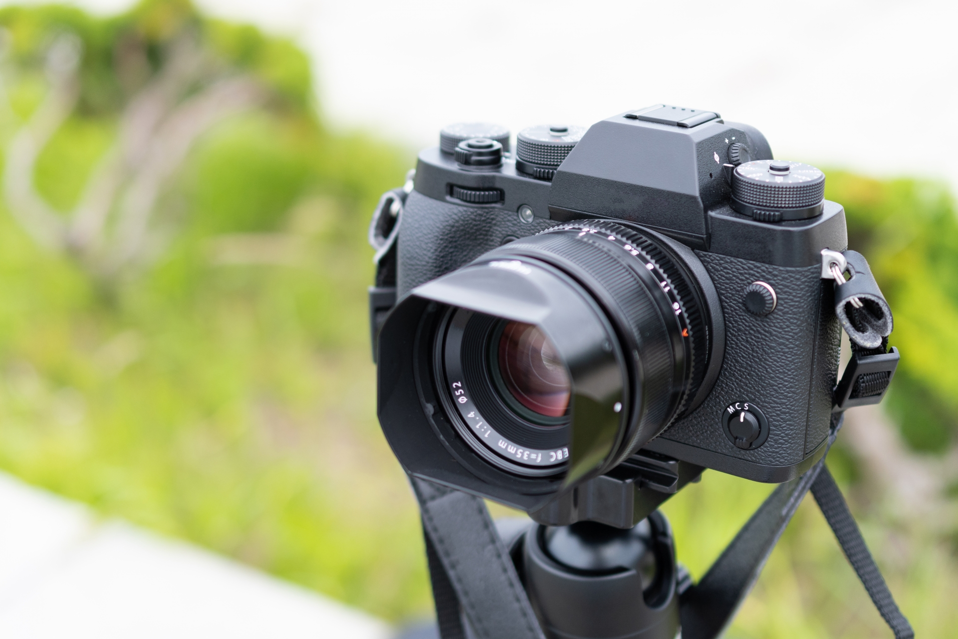 お知らせ・ブログ